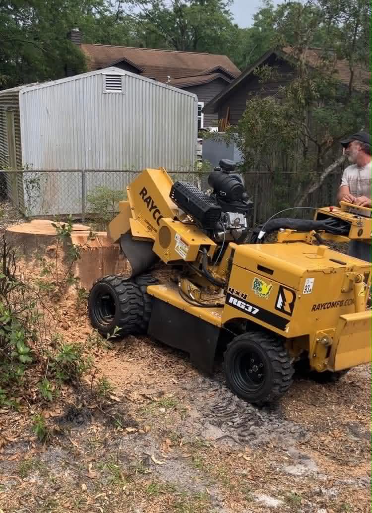 Stump grinder removing a large tree stump